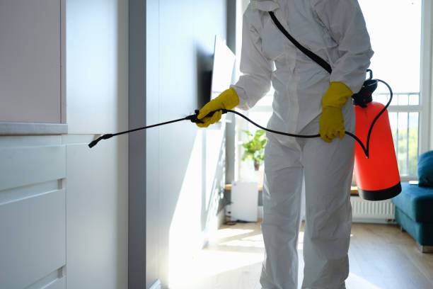 Professional Mold Removal in Marlboro Village, MD